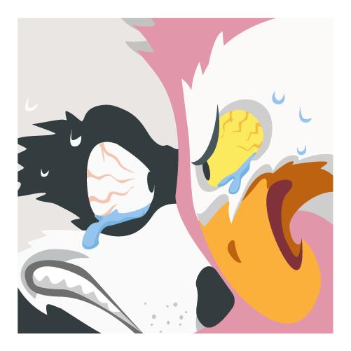 Chi ha ceduto prima?